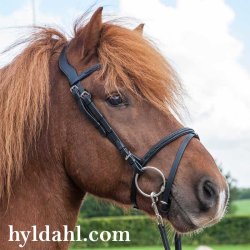 Eques Anatomisk Trense 