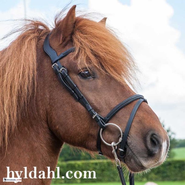 Eques Anatomisk Trense 