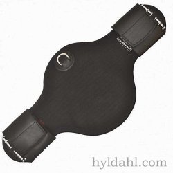 Eric le Tixerant DresurGjord