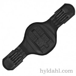 Eric le Tixerant DresurGjord