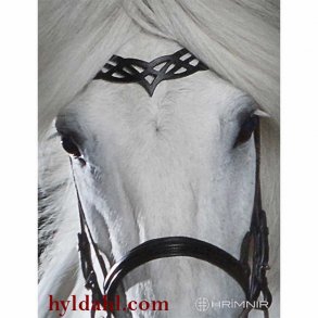 Hrimnir Headstall Heritage B