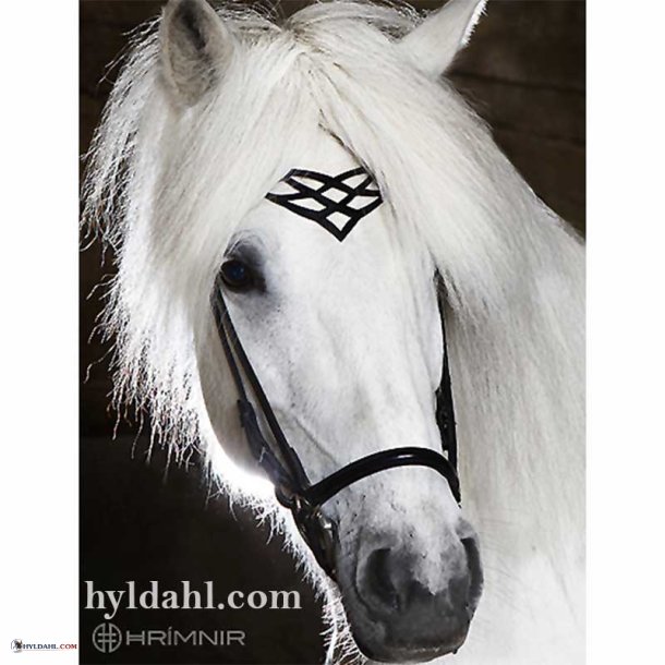 Hrimnir Headstall Heritage C