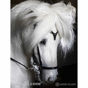 Hrimnir Headstall Heritage D