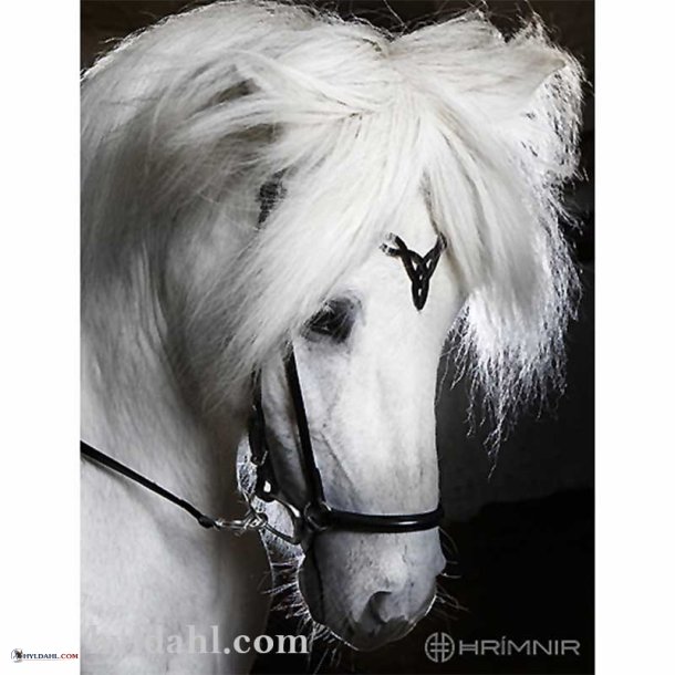 Hrimnir Headstall Heritage D