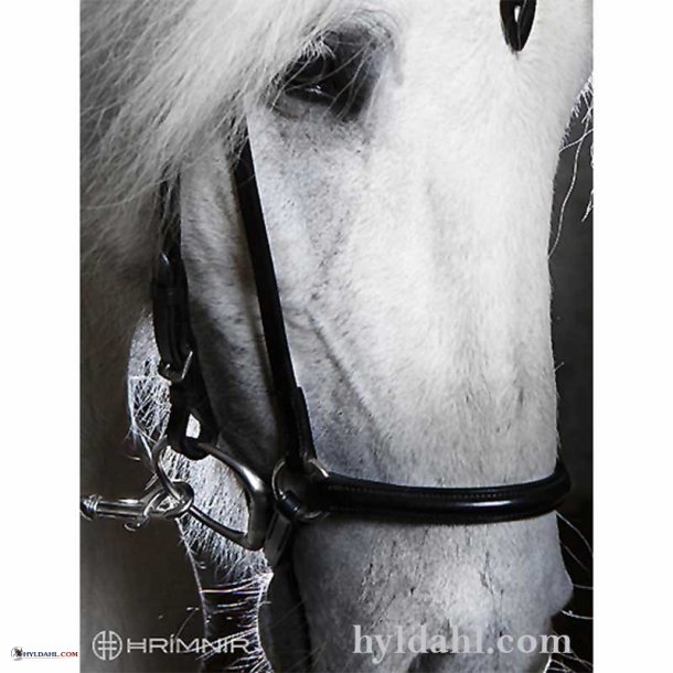 Hrmnir Noseband