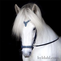 Hrimnir Drop noseband Blue lagoon