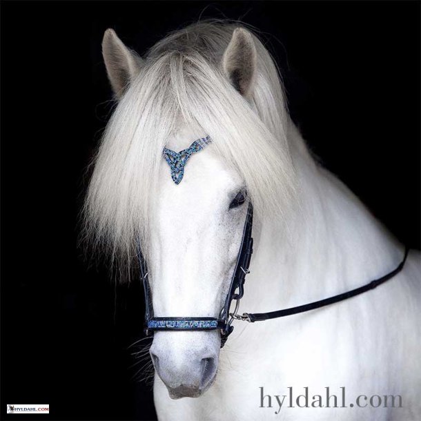 Hrimnir Drop noseband Blue lagoon