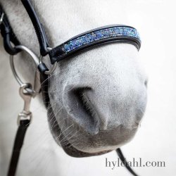 Hrimnir Drop noseband Blue lagoon