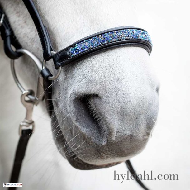 Hrimnir Drop noseband Blue lagoon
