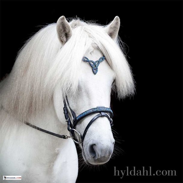Hrimnir Flash noseband Blue Lagoon