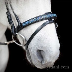 Hrimnir Flash noseband Blue Lagoon