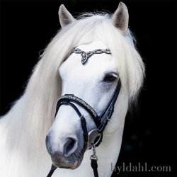 Hrimnir Flash noseband Fire and Ice