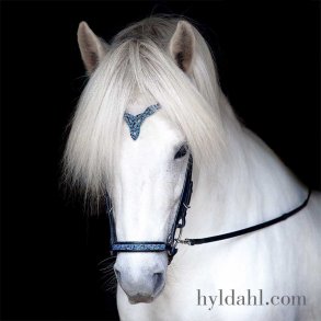 Hrimnir Headstall Heritage F- Blue Lagoon