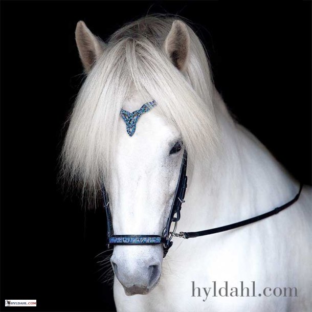 Hrimnir Headstall Heritage F- Blue Lagoon