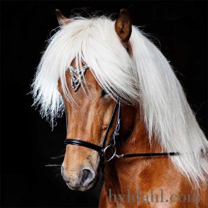 Hrimnir Headstall Heritage G- Unity