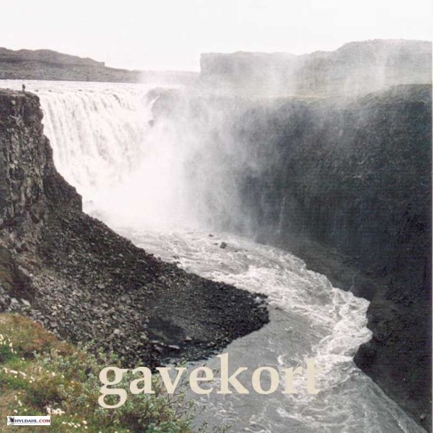 GaveKort