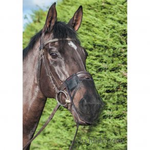 LeMieux Comfort Shield Nose Filter