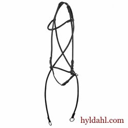 BidlsTrense 001 Rundsyet