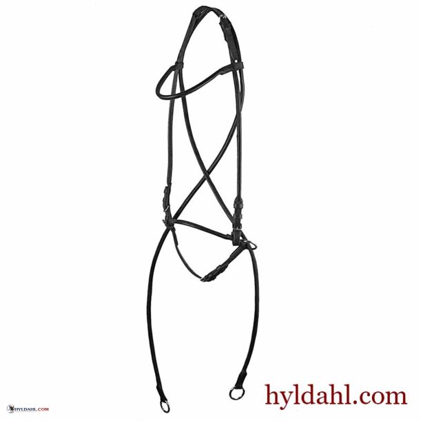 BidlsTrense 001 Rundsyet