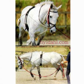 Pessoa LongeringsSystem 