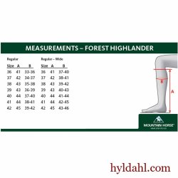 Mountain horse forest highlander sale