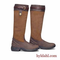 Mountain Horse Forest Highlander