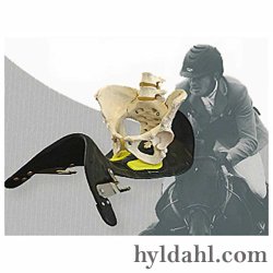 Prestige Iceland X-D1 SC