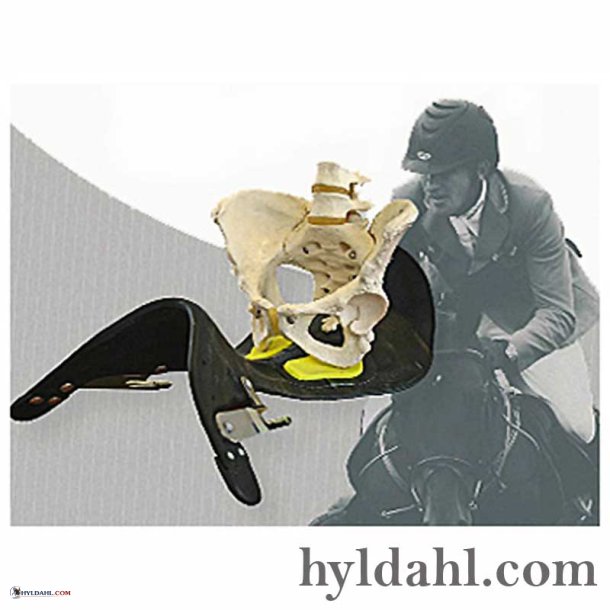 Prestige Iceland X-D1 SC