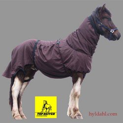 TopReiter EksemDkken