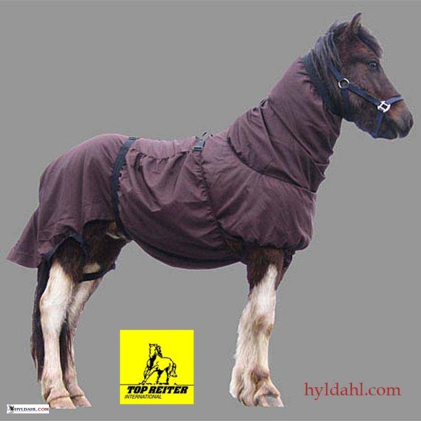 TopReiter EksemDkken