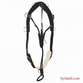 TopReiter LongeringsGjord