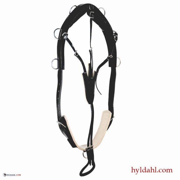 TopReiter LongeringsGjord