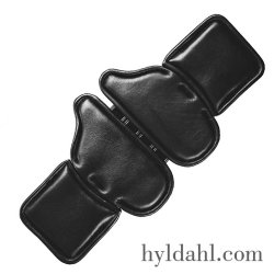 TopReiter Magic Move