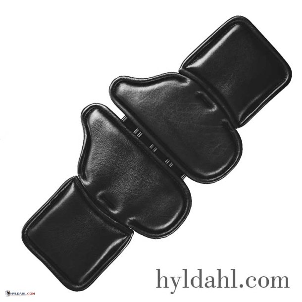 TopReiter Magic Move