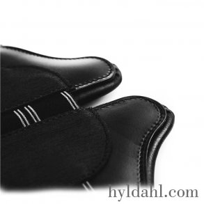 TopReiter Magic Move