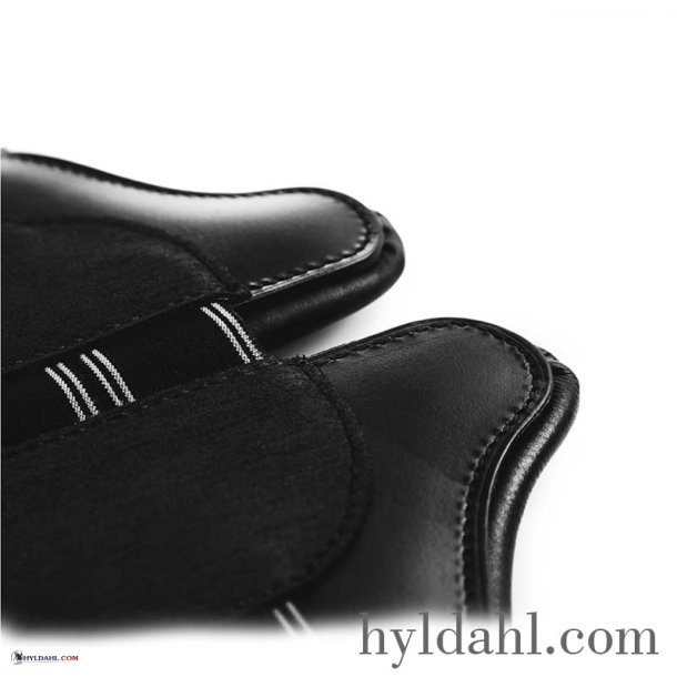 TopReiter Magic Move