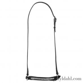 Top Reiter NR Aurora