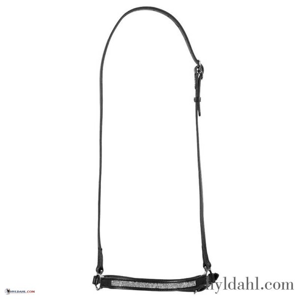 Top Reiter NR Aurora