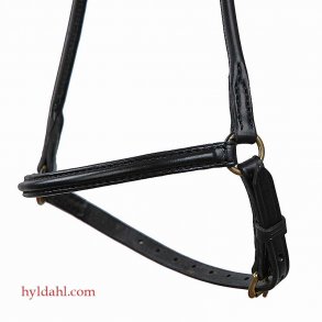 TopReiter NR Elegant