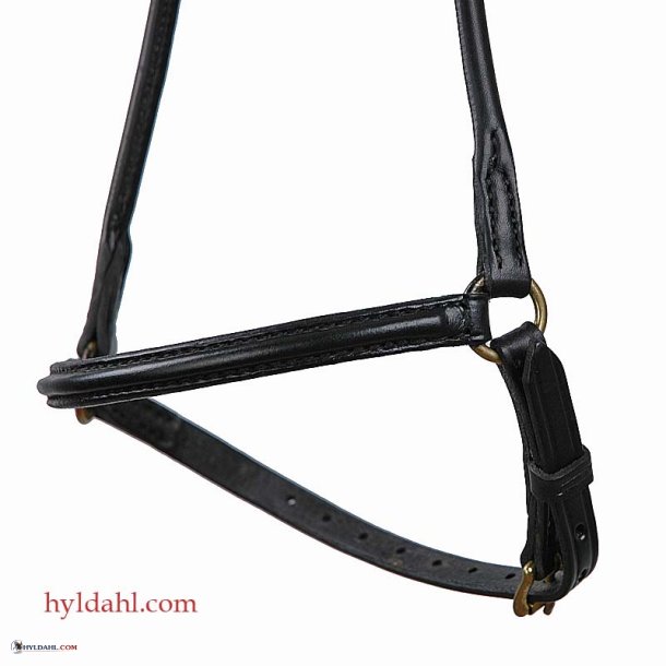 TopReiter NR Elegant