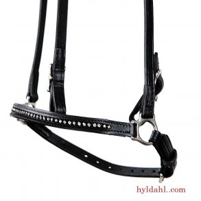 TopReiter NR Glamour