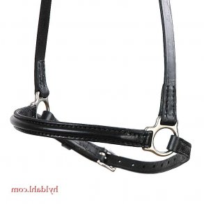 TopReiter NR Klassik