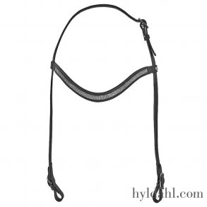 Top Reiter KS Aurora