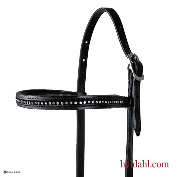 TopReiter KS Glamour