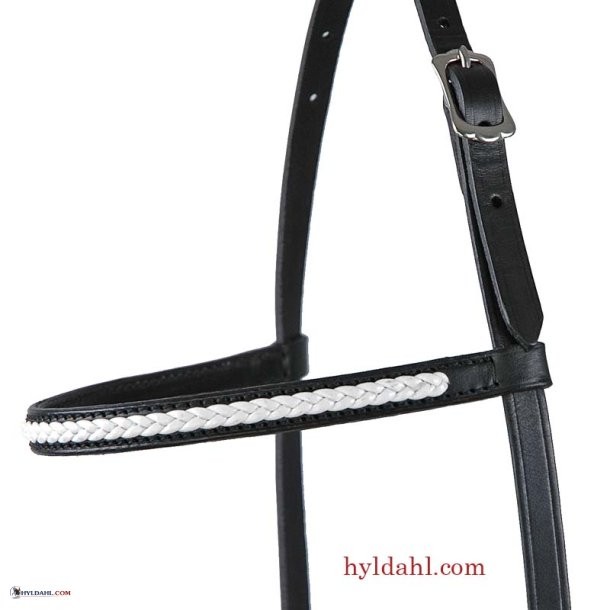 TopReiter KS Individuelle