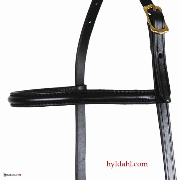 TopReiter KS Klassik