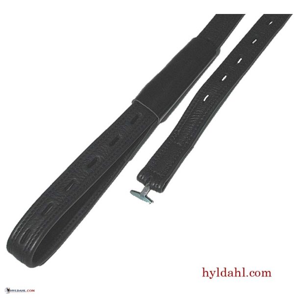 TopReiter Webbers Exklusiv 