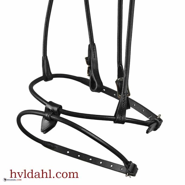 TopReiter Feine Kombineret