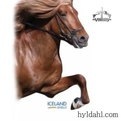 Veredus Icelandic Shield