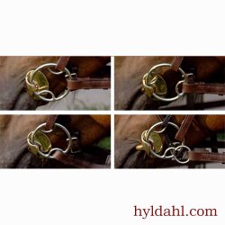 Stbben Golden Wing LooseRing Snaffle 4:1